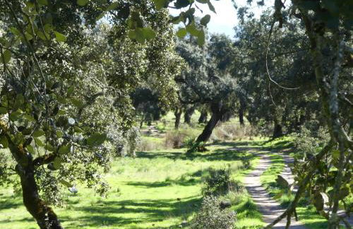 Agua de mayo - Foto 2