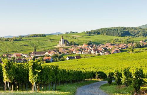 Aparthotel Adagio Bâle Mulhouse Aéroport - Foto 126