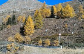 BALCONE SULLE DOLOMITI 2 - Photo 70