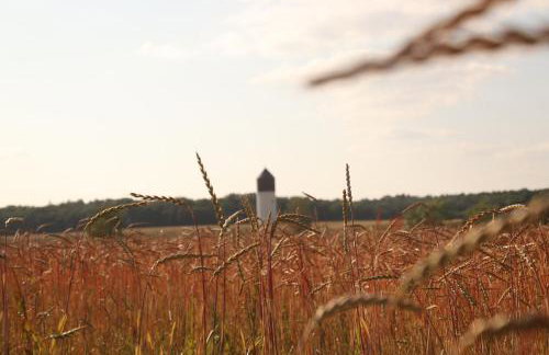 Ferienhof Engel - Foto 5