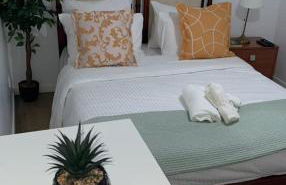 Île des Caraïbes - Foto 7