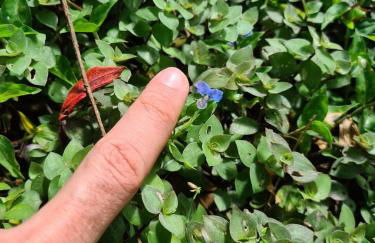 Sossego e aconchego ao lado do INHOTIM - Foto 30