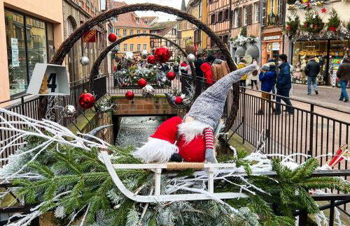 Les Suites Du Cygne - Foto 75