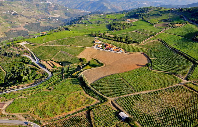 Quinta dos Espinheiros - Foto 47