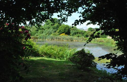 Lakeview Cottage - Photo 6