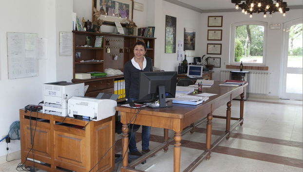 Check-in-/Check-out-Schalter