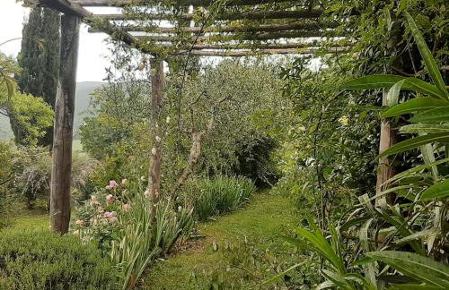 PERGOLA at Le Pietraie a cottage with many flowers - Foto 19