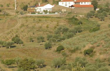 Quinta da Alagoa - Foto 77