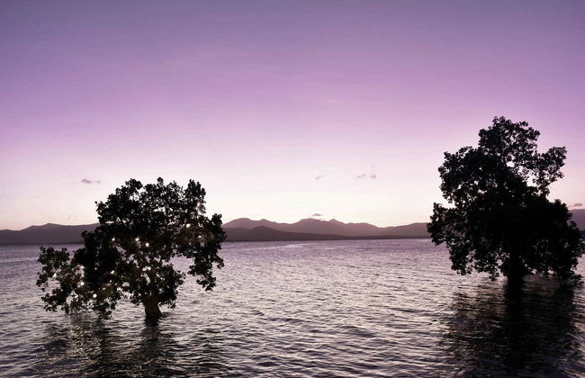 Mangroves Night Cruise - Photo 2