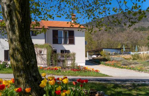 Villa Tulipa by Briskva - Foto 10