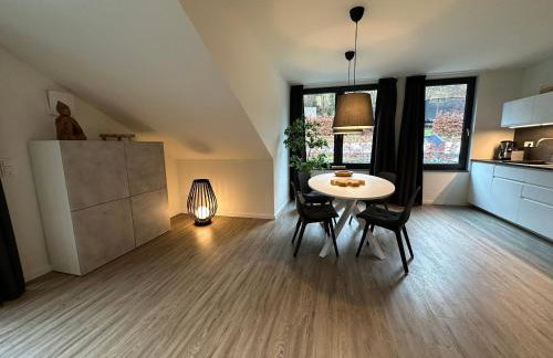 NEU - Villa Brachfeld - Penthouse und Ferienwohnung, Tor zum Nationalpark Eifel - Photo 39