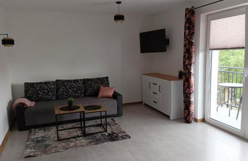 Wczasy Chmielno Apartament PUDROWY - Foto 40