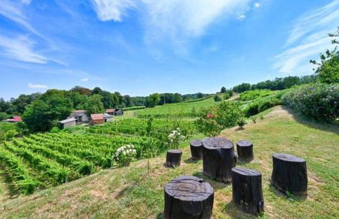 STRUČIĆ WINERY ESTATE - Foto 17