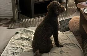 Ferienwohnungen Dorfliebe Dörnberg - Foto 31