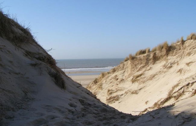 Europarcs Koningshof - Foto 80