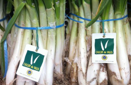 Maison de village à Puigpelat près de Valls et de TARRAGONA - Foto 52