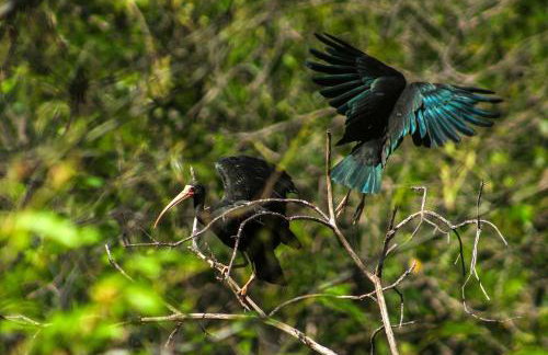 Casa Europeia com Lareira & Piscina em Indaiatuba - Foto 73