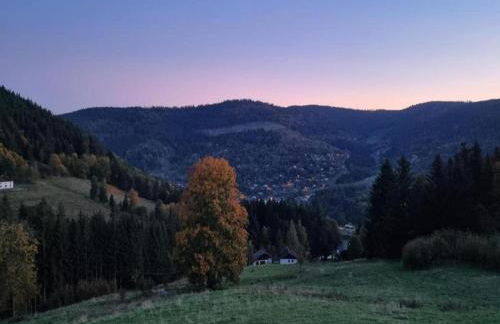 Ventron Chalet with Hill Views - Foto 32