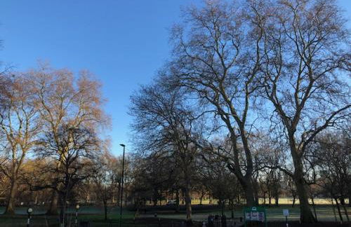 1 Bed-park View-balcony-wifi-pet Friendly - Foto 32