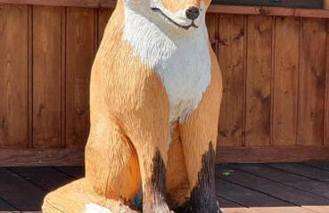 Chata Lisa - Foto 19