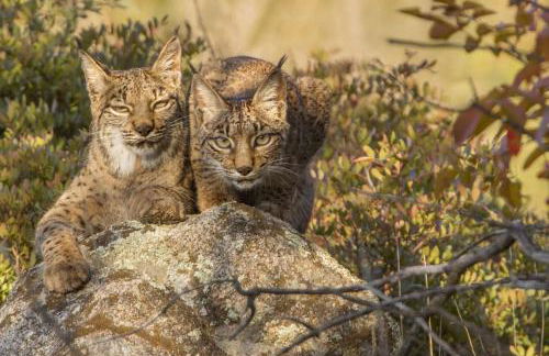 Casa Rural Mirador de los Tomillos - Foto 58