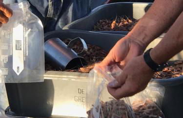 Ferienwohnung Ausguck - Foto 28