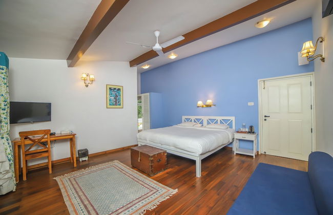 Rayne Forest - Foto 6