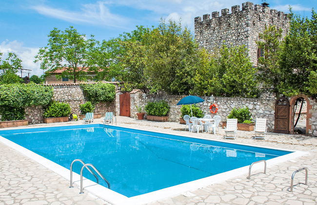 Olivo secolare - Foto 1