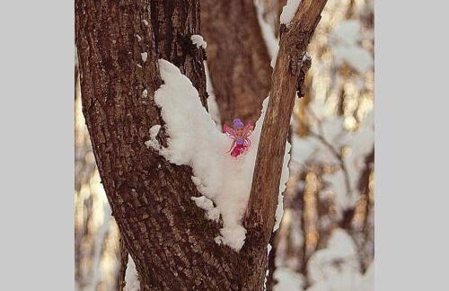 The Cottage - Hot Tub - nr Glasgow - self check-in - Foto 44