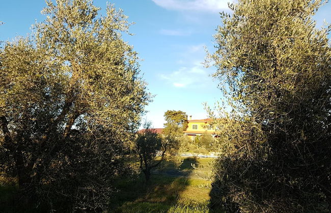 Agriturismo Il Giogo - Photo 37