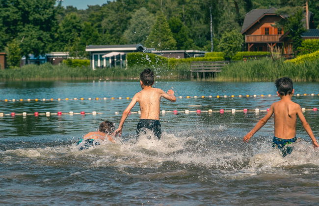 2 bedroom House in Brunssum with terrace - Photo 5