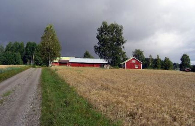 3 bedroom House in Pielavesi with sauna - Photo 36