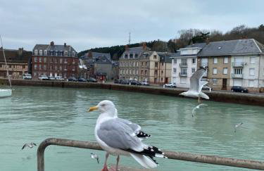 Les gîtes du château du cèdre - Foto 30