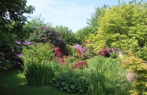 Ferienwohnung-Gluecksburg - Foto 14