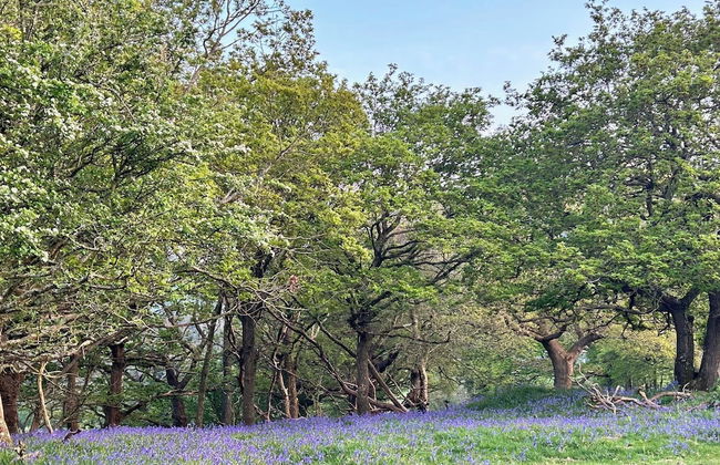 Idlewild Animal Sanctuary Farmhouse Stay - Charity - Photo 39