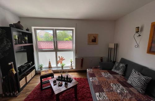 Möblierte Wohnung für Geschäftsreisen/Ferienwohnung Plauen Stadtmitte - Foto 3