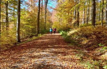 Ferienwohnung Hilders Ortsmitte - Photo 15