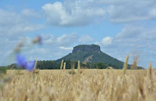 Ferienwohnung Gohrisch - Foto 36