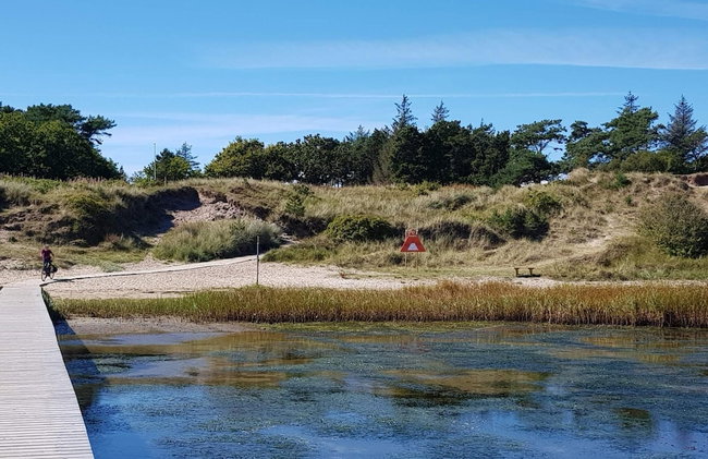5 Star Holiday Home in Hadsund - Foto 36