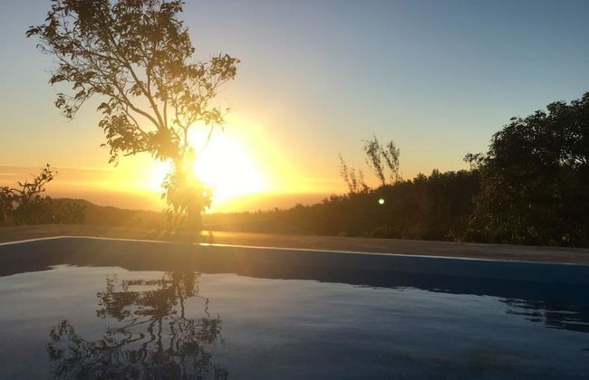 Villa Zourit Rodrigues Bungalow - Photo 21