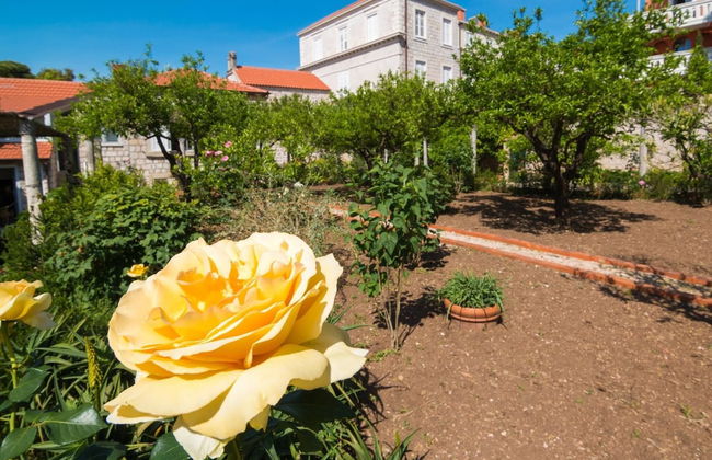 Dvori With Garden, Free Parking Next To Sea - Foto 20