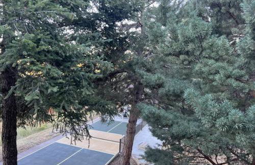 Snowbasin + Powder Mountain + Spa + Eden - Foto 45