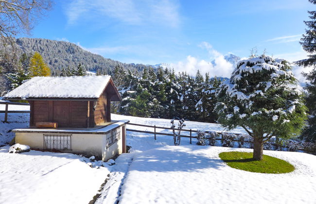 Marmousets 2 - Photo 21