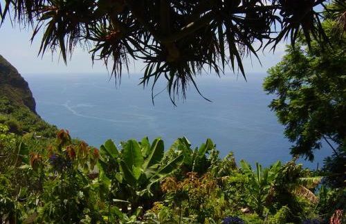 Torre Bella Gardens - Foto 63