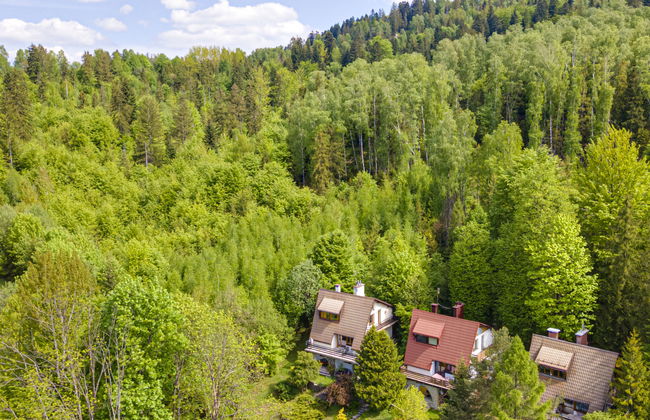 Partecznik - Photo 47