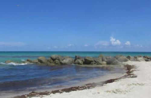 Ocean Breeze Studio With Parking By The Beach - Foto 27