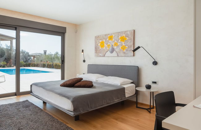 Old Olive VIII - Foto 27