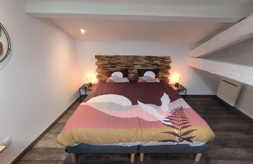 T2 -55m2- Elégant et chaleureux - Foto 7