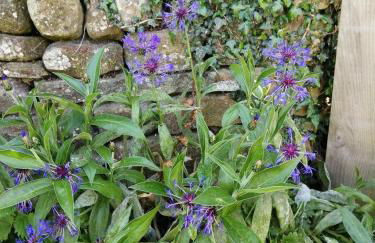 Lakes and Eden Valley. Thornhill Cabin - Foto 15