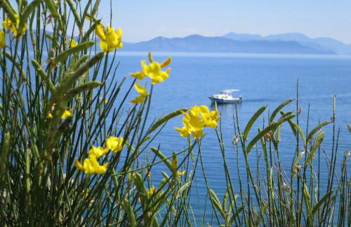 Prime and Exclusive Seafront Location Apartment Sunset - Foto 36